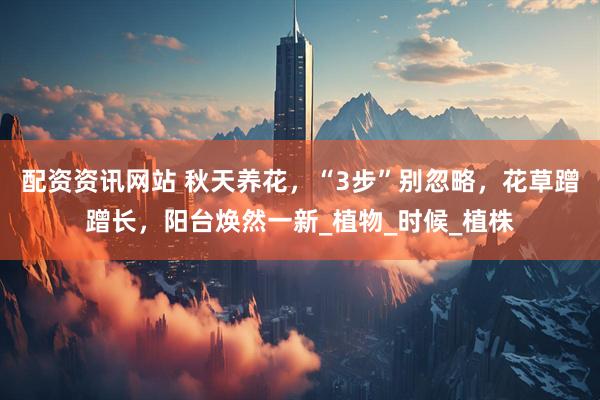 配资资讯网站 秋天养花，“3步”别忽略，花草蹭蹭长，阳台焕然一新_植物_时候_植株